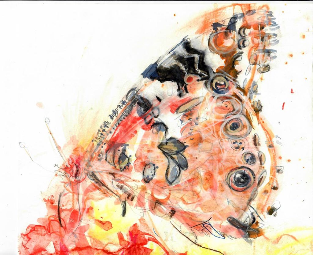 Watercolor of a painted lady butterfly by Lee Lee