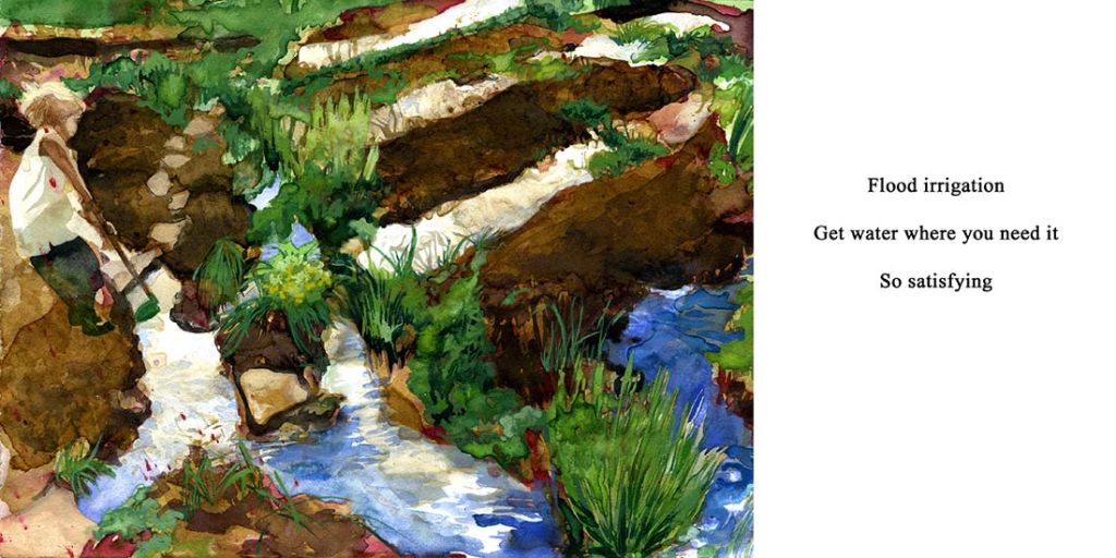 Acequia: watercolor and poetry - a multi-generational collaboration that follows the story of a year in Grandpa's garden by Lee Lee, Thatcher Gray & Peter Thatcher Leonard