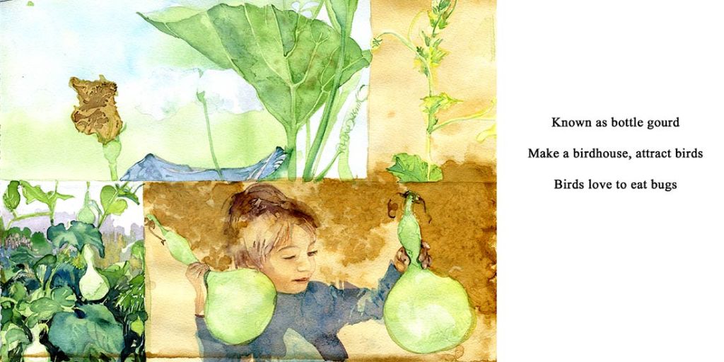Acequia: watercolor and poetry - a multi-generational collaboration that follows the story of a year in Grandpa's garden by Lee Lee, Thatcher Gray & Peter Thatcher Leonard
