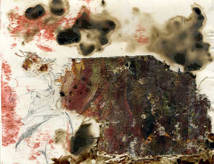 Drawing by Lee Lee: Vrnda - Media: pencil & watercolor on matt board collaged with shotgunned oil paintings & raw silk, burnt with coals