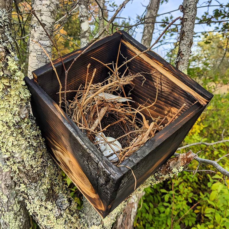 Lee Lee & Thatcher Gray - mixed media sculpture of a bird's nest in a charred box created for HOME exhibition by LEAP