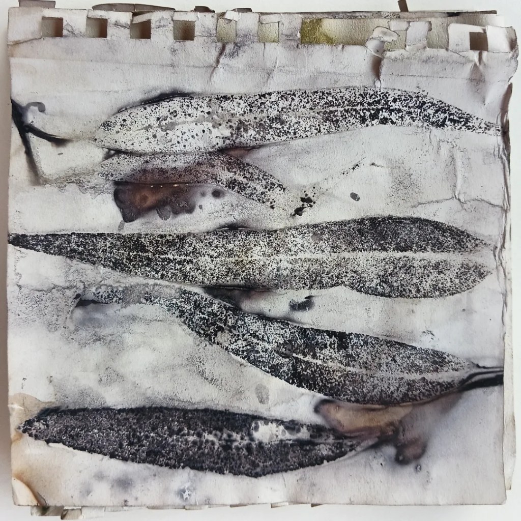 Lee Lee: eco-print using rust and eucalyptus leaves created at AADK in Blanca, Spain