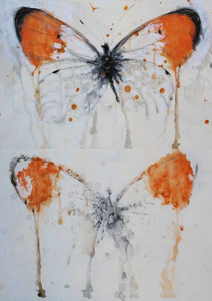 Lee Lee - endemic butterflies to la Huerta, Spain: Anthocharis cardamine watercolor created at AADK in Blanca