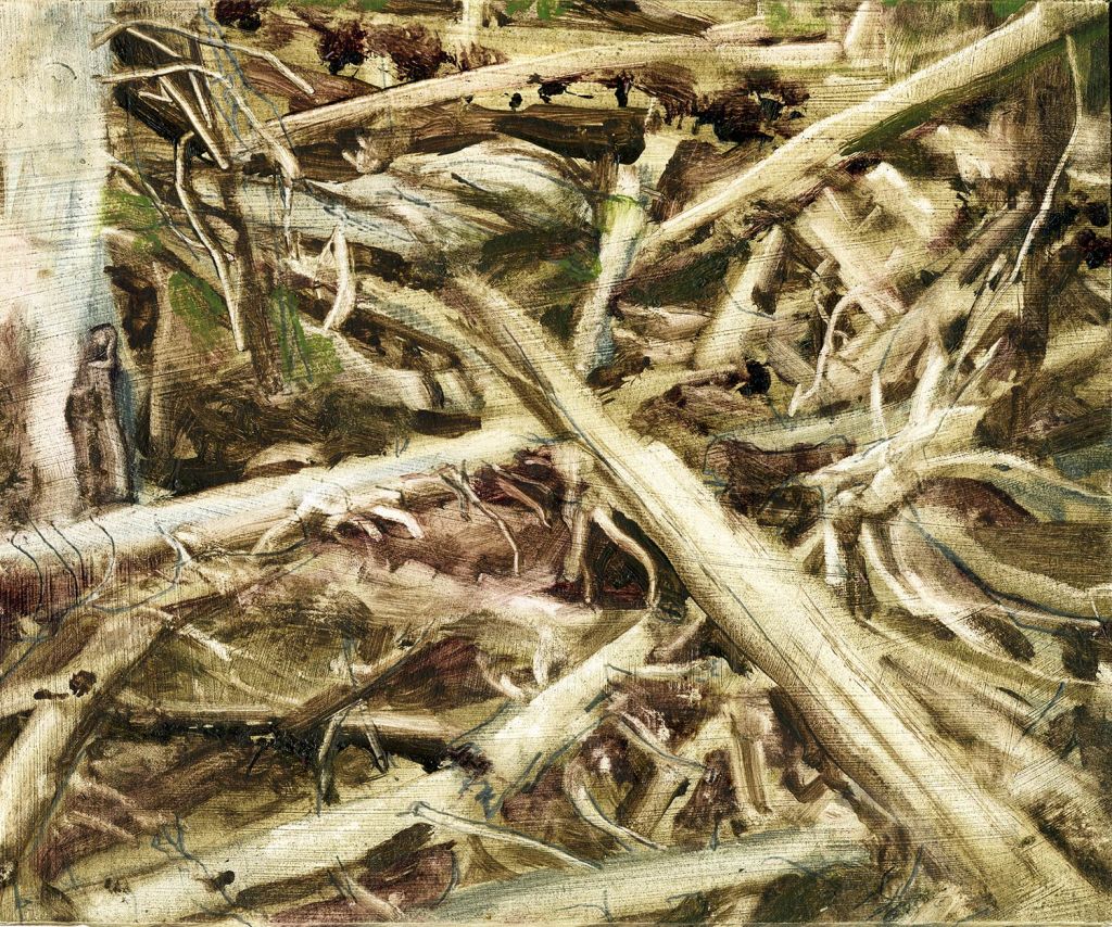 Lee Lee - plein pair oil painting of the highlands above Shadow Creek Ranch, Colorado