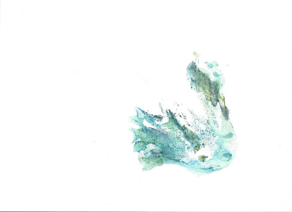 Lee Lee - Female defense - Ruby Throated Hummingbird.
Watercolor after Gary Bridgman
creative commons