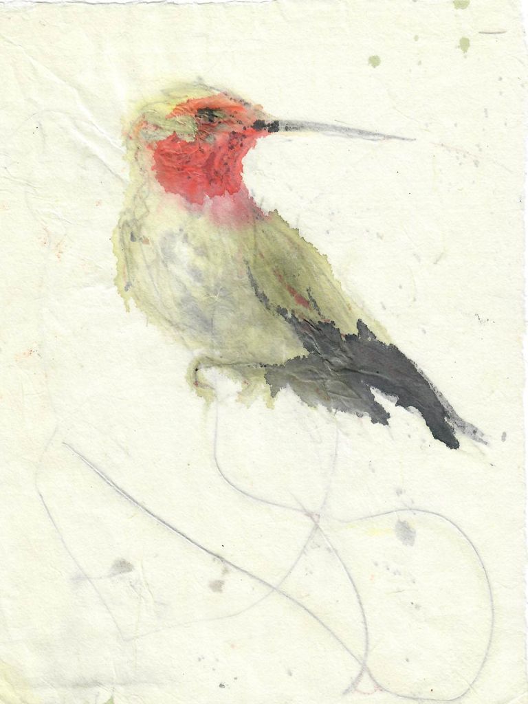 Lee Lee - Archilochus colubris (ghost)
Watercolor after Joe Schneid
creative commons