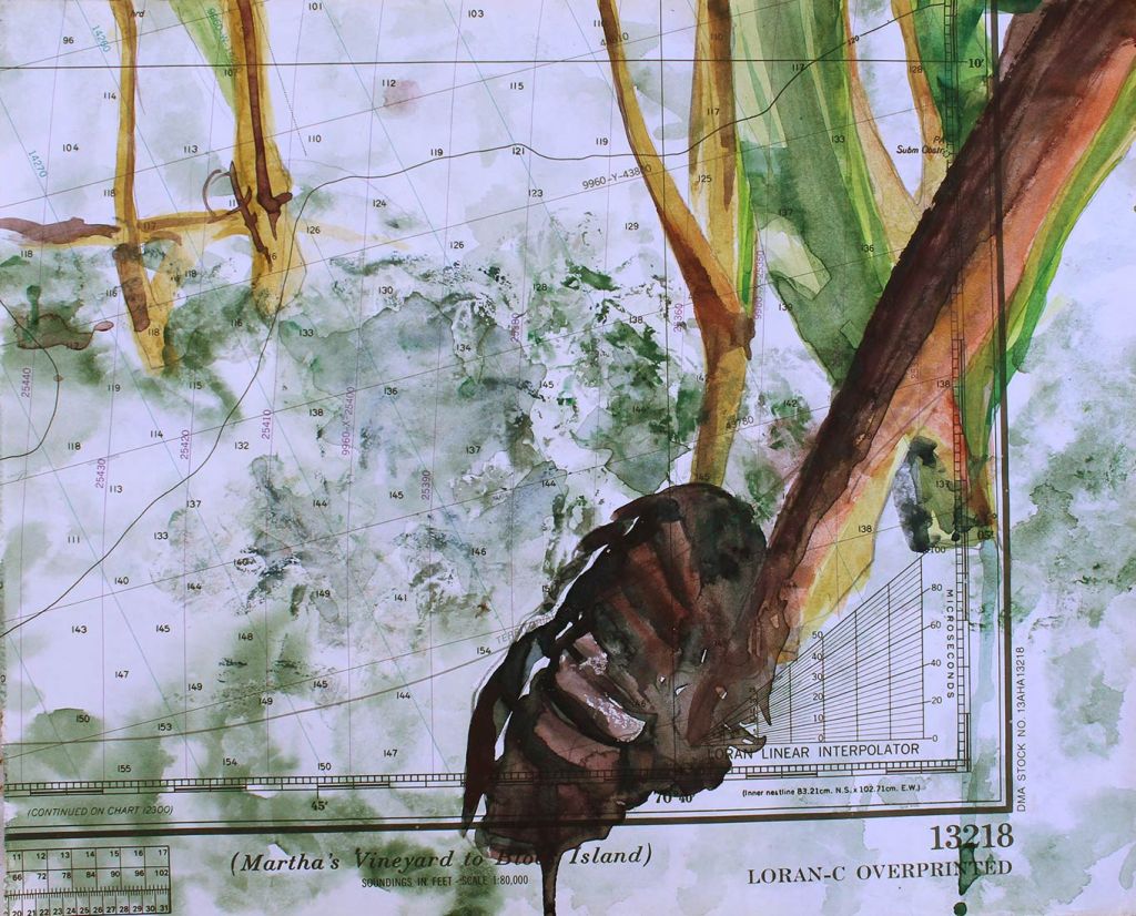 Lee Lee - mixed media drawing of mussels in a sea grass bed on Chappaquoit Island off the coast of Cape Cod