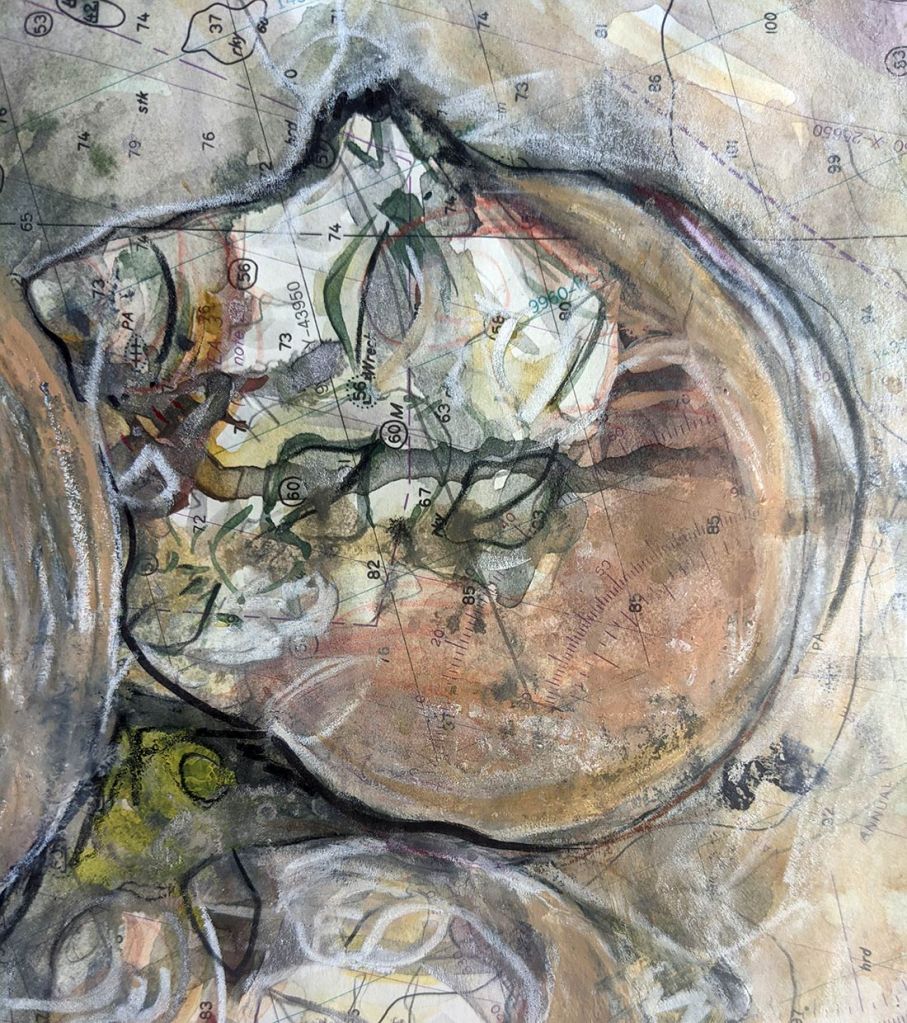 Lee Lee - mixed media drawing of periwinkle snails  on Chappaquoit Island off the coast of Cape Cod
