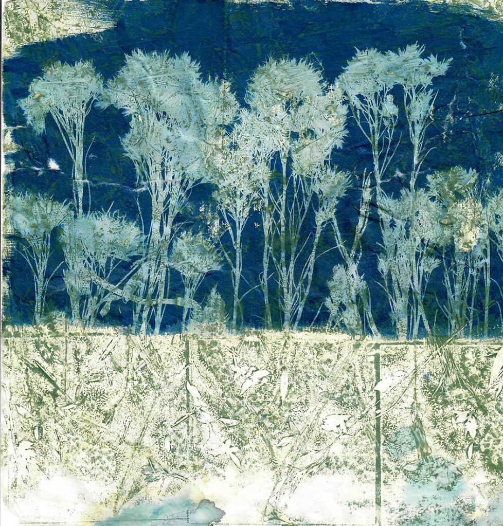 Lee Lee - Acequias
Mixed media eco-print: Cyanotype of chamisa over ghost monoprint using soy based ink of fieldplants, printed 2022 at Green Olive Arts, Tetouan, Morocco
2024 - TAOS distillery
